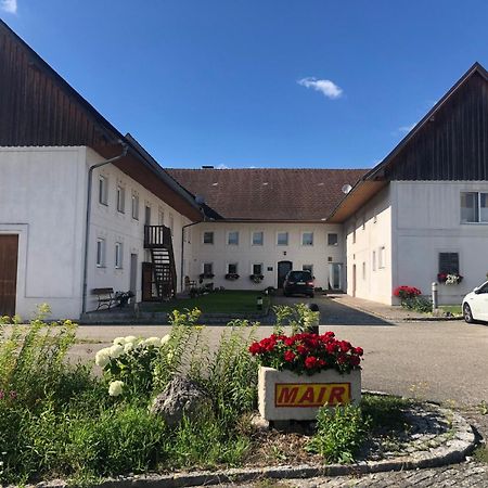 Babsi Appartments - Leben Am Land Вельс Екстер'єр фото